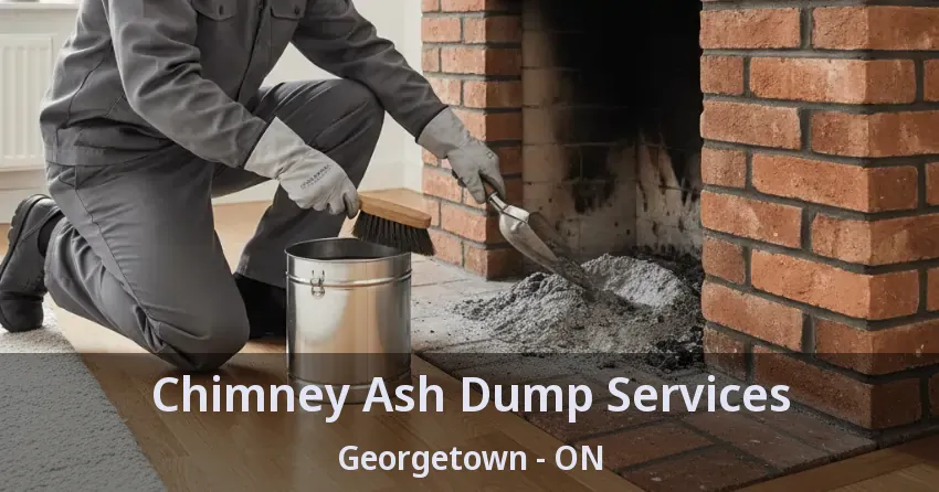 Chimney Ash Dump Services Georgetown - ON