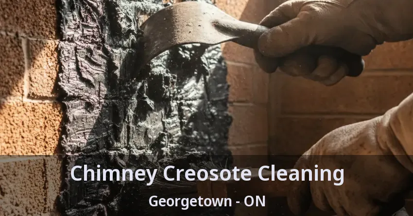 Chimney Creosote Cleaning Georgetown - ON